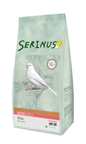 SERINUS BLANCA CRÍA 1 kg