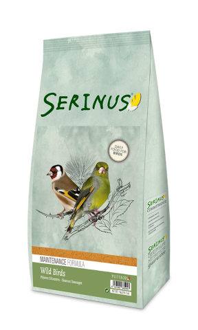 SERINUS PÁJAROS SILVESTRES MANTENIMIENTO 1kg