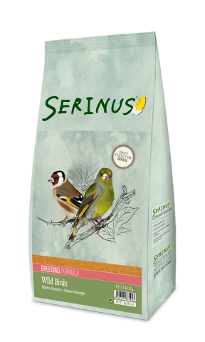  SERINUS PÁJAROS SILVESTRES CRÍA 1 kg
