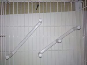MOLDES AVE Posaderas, perchas de 2 puestos.