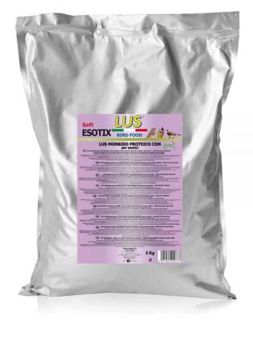 LUS ESOTIX  CON GERMIX (exoticos)