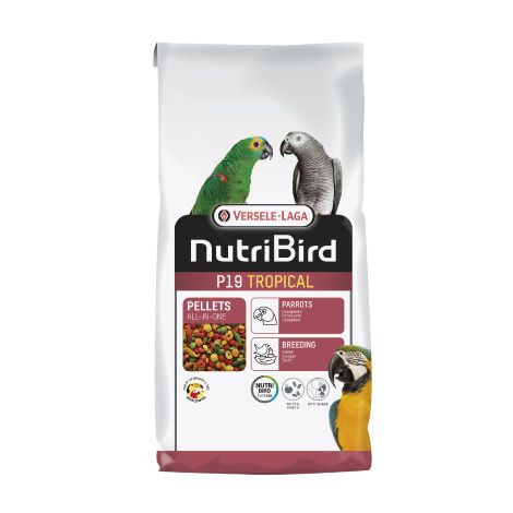 P19  Loros original Cria 10Kg