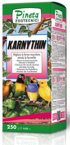 KARNYTHING 250GR (liquido)