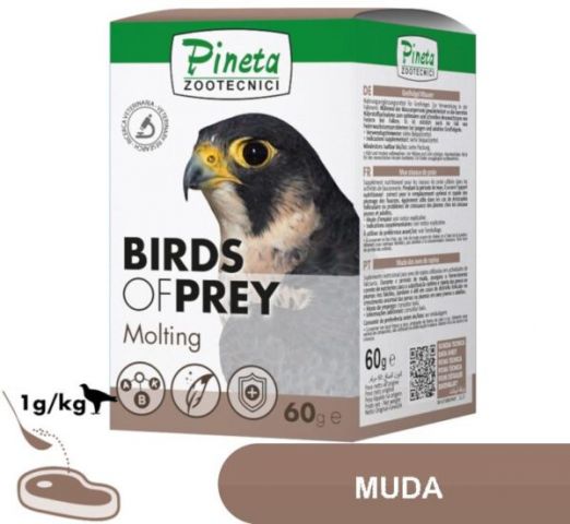 Bird Of Prey Molting 60g (Muda)