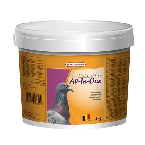 ALL-IN-ONE 4KG