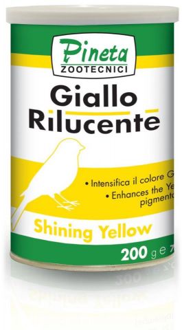 GIALLO RELUCIENTE 200GR