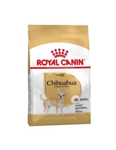 Royal Breed Chihuahua 0,5 kg