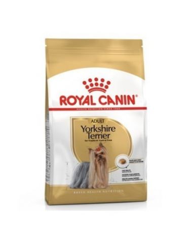 Royal Breed Yorkshire Terrier 3kg