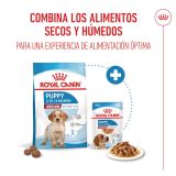 Royal Medium Puppy  140gr