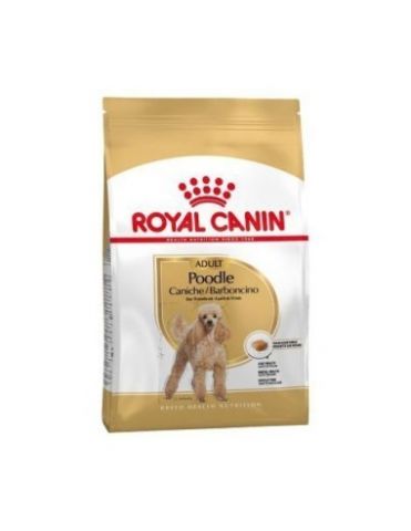 Royal Breed Poodle 1,5 kg