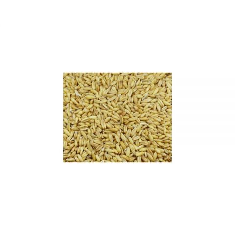 MQH AVENA PELADA B/1KG