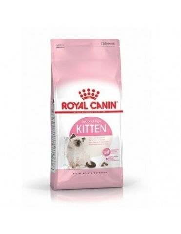 Feline Kitten 36 10kg