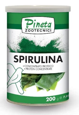 PINETA SPIRULINA 100gr