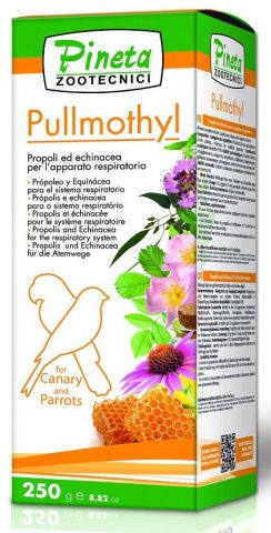 PULLMOTHY 125ML