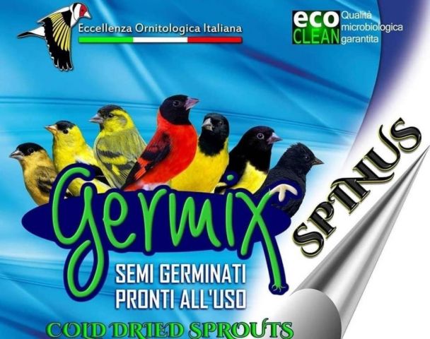Germix Spinus 1kgrs