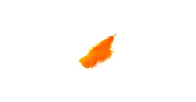 HAPPY PETS  BETACAROTENO RED 50GR
