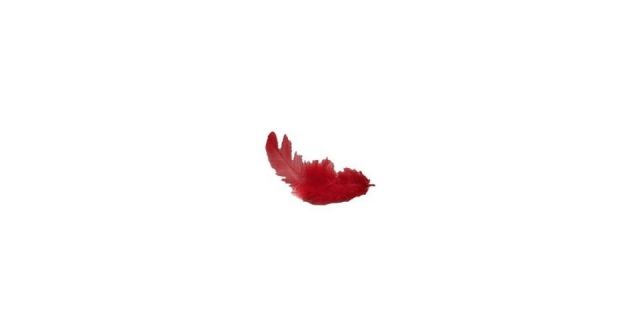 HAPPY PETS  CATAXANTINA RED 500GR