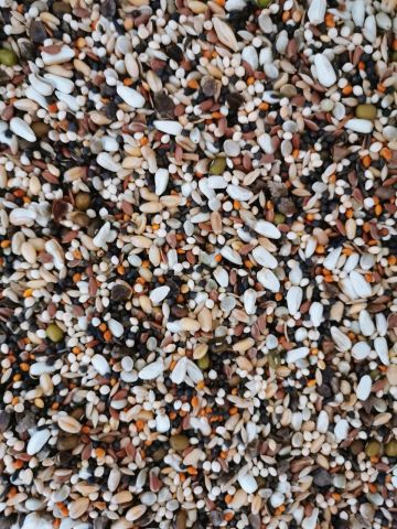 REENVASADO SEMILLAS GERMINACION B/4KG