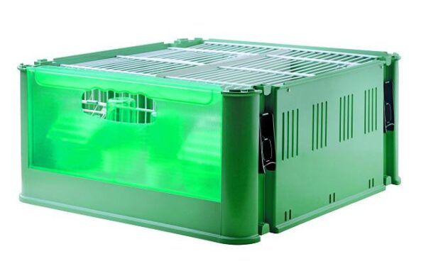TINO ECONOMY SIN CAJA INTERNA ART.235