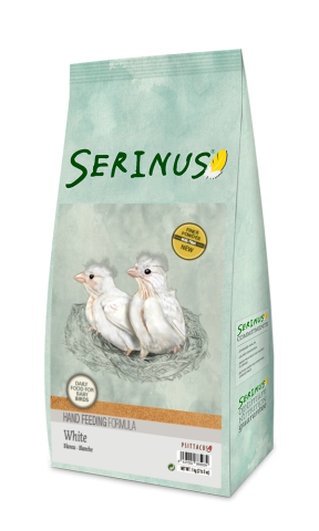 SERINUS PAPILLA BLANCA 1KG
