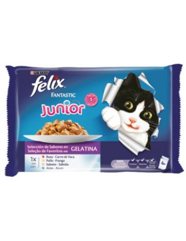 Felix Junior Agail (4x85g)