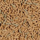 sera Raffy P Nature 55g