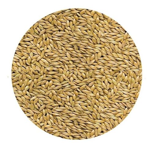ALPISTE PREMIUM PINETA 4KG (reenvasado)
