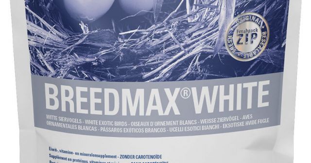 BREEDMAX WHITE 500gr