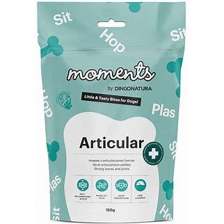 MOMENTS DOG Articular 150 g 