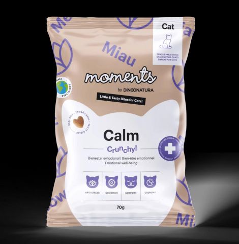 MOMENTS CAT Calm