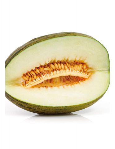 MELON PIEL DESAPO F1 PACK 6