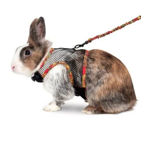 Armes CONFORT Conejo 20mm. X 91 – 170 ´5 cm