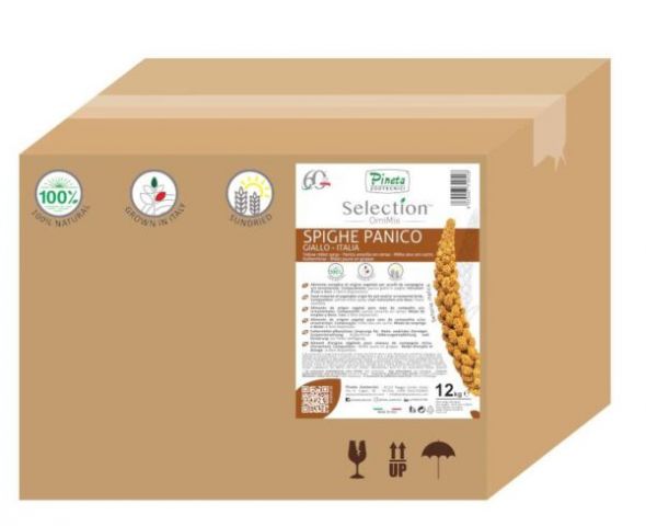 Panizo amarillo Italiano en Espigas caja 12kg