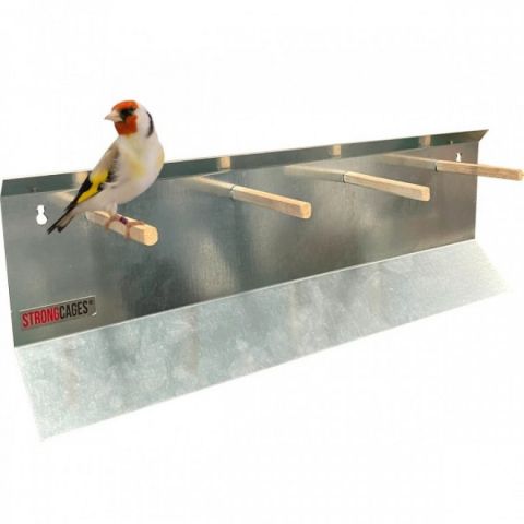 Soporte metálico para cuatro palos posaderos aviar