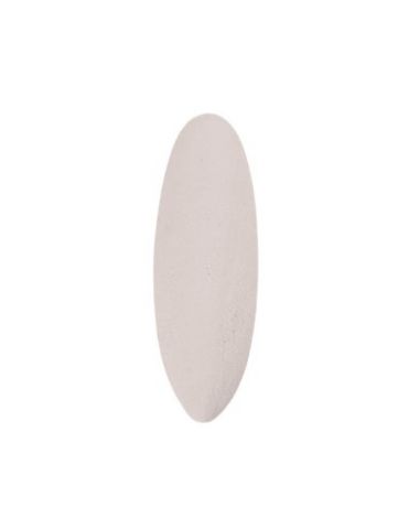 SEPIA SHELL CALCIUM ZAZOO 23x8x2cm