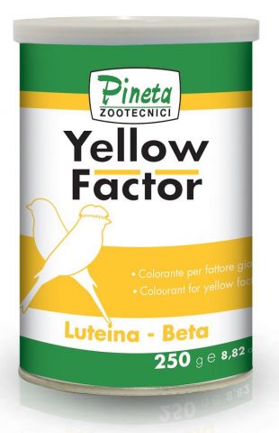 YELLOW FACTOR + PROTECTOR 100gr
