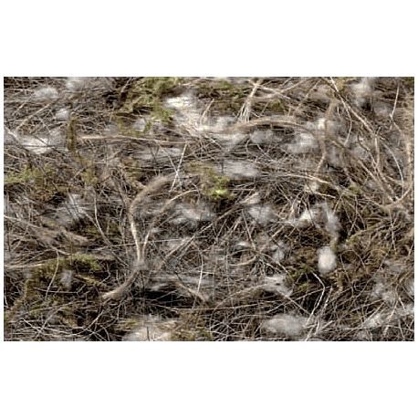 Sisal fibre Animal Vegetal Musgo 500 gr.