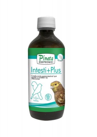 PINETA Intesti+Plus 250ml Equilibrio intestinal 