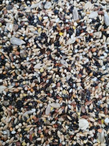 HAPPY PETS MIL SEMILLAS B/1KG
