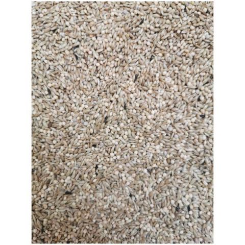 ESPECIAL DIAMANTE DE GOULD BA/8kg