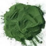 ESPIRULINA CANARIZ - SOBRE 250gr