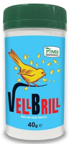 VELL BRILL 40gr (Muda - plumaje sin Doré)