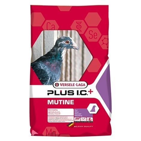 VERSELE - LAGA MUDA PLUS I.C. 20KG.º