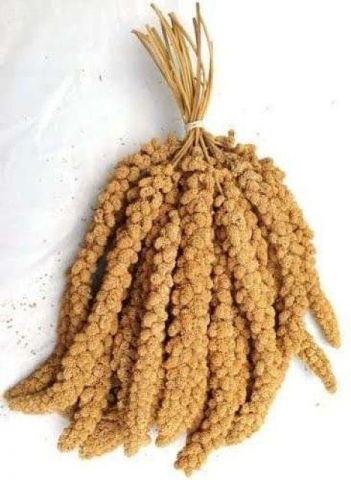 PANIZO EN RAMA EXTRA AMARILLO CAJA 15KG