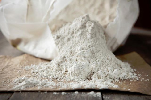 TIERRA DE DIATONEAS 5KG MICRONIZADA