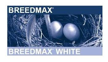 BREEDMAX WHITE 3KG