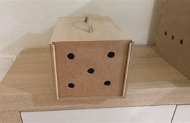 TRANSPORTIN PALOMOS ENVIO 