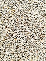 PERILLA BLANCA S/15kg