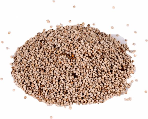 PERILLA BLANCA 2.5kg