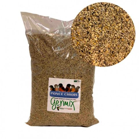 BARRIGAS BLANCAS CARDENALITOS GERMIX BLATTNER 5kg